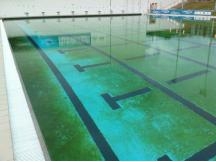 piscina-agua-verde-1342513585.jpg